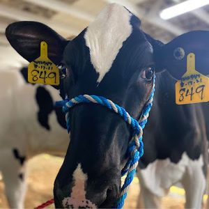 Meet your Posher, Torunn